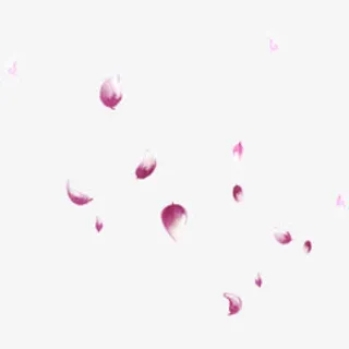 紫红花瓣漂浮装饰免抠