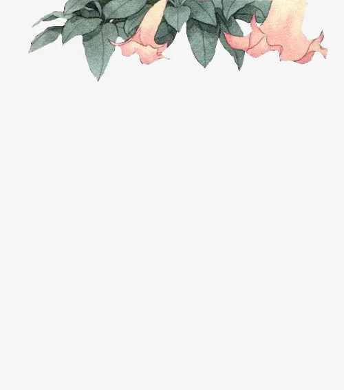 花 手绘 清新 水彩 水墨免抠