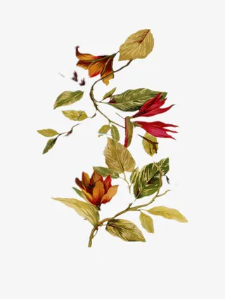 中国风印花矢量图免抠