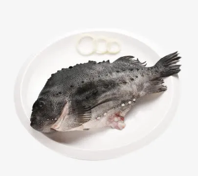 冷冻海参斑鱼免抠