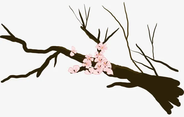 山崖的梅花免抠
