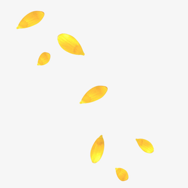 花瓣免抠漂浮叶子元素