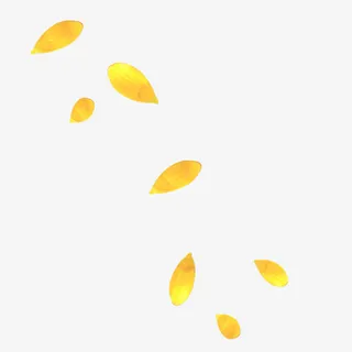 花瓣免抠漂浮叶子元素