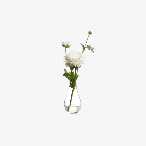 欧美流行插花 绿植物 鲜花软装免抠