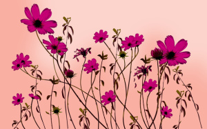 花绘手绘花背景免抠背景卡通/手绘元素