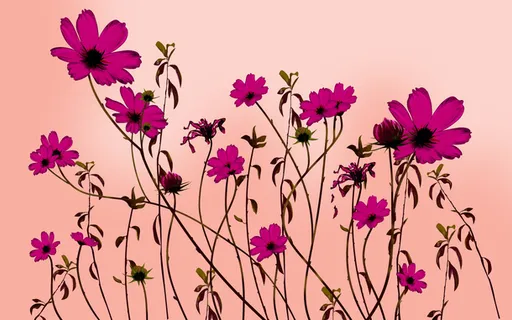 花绘手绘花背景免抠背景卡通/手绘元素 花绘手绘花背景免抠背景卡通/手绘元素