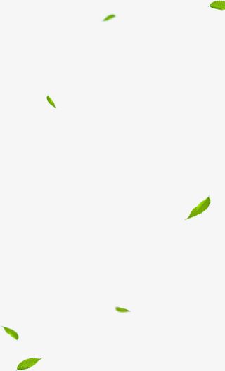 小清新风格的绿叶免抠