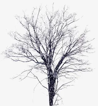 高清创意合成环境渲染效果树枝免抠