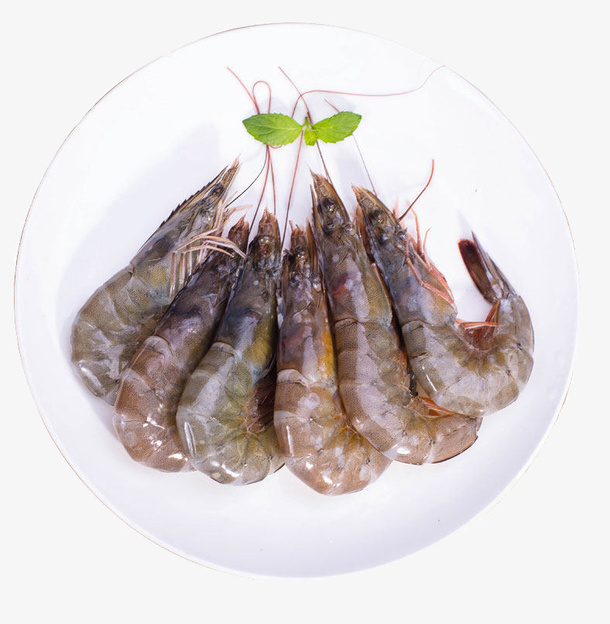 营养南美白对虾PNG免抠