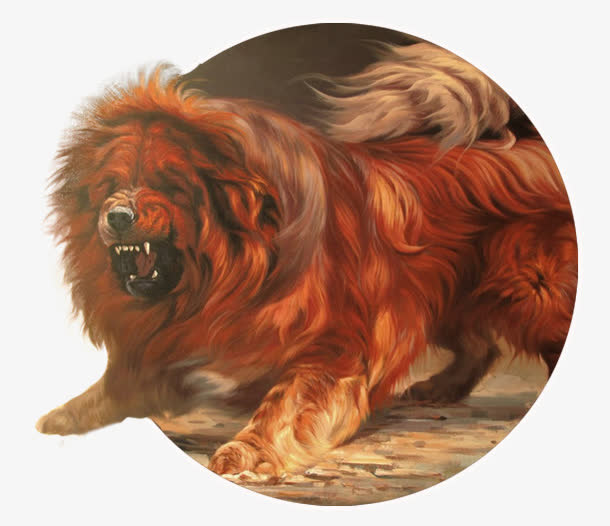 藏獒免抠