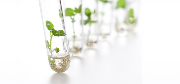 试管科技技术器械清新白色海报背景高清