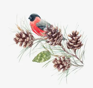 站在树枝上的红色小鸟免抠