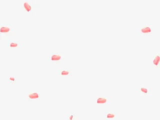 花瓣 红色 几何免抠