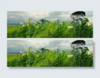 微风拂过春季背景