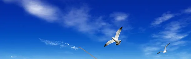 时尚商务科技背景