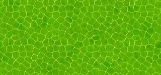 纯色网格背景高清