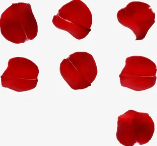 红色玫瑰花瓣免抠