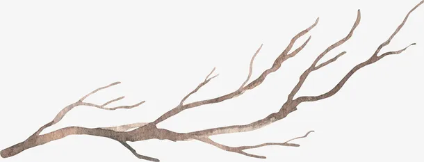 水彩卡通手绘树枝免抠