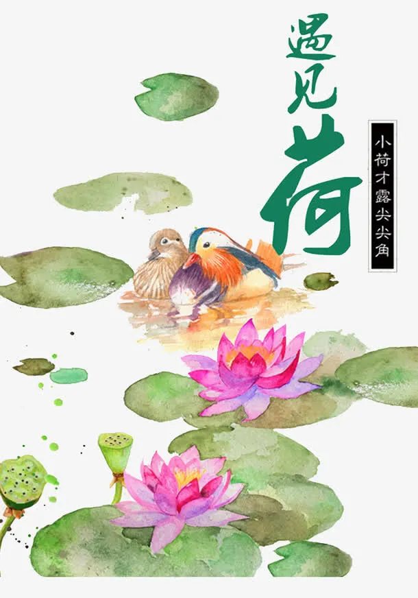 遇见荷画作免抠