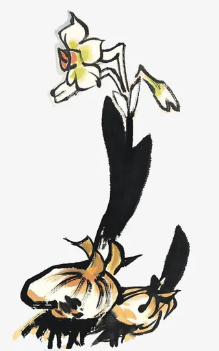 水墨水仙花免抠