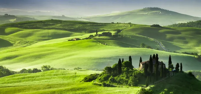 绿色清新背景高清