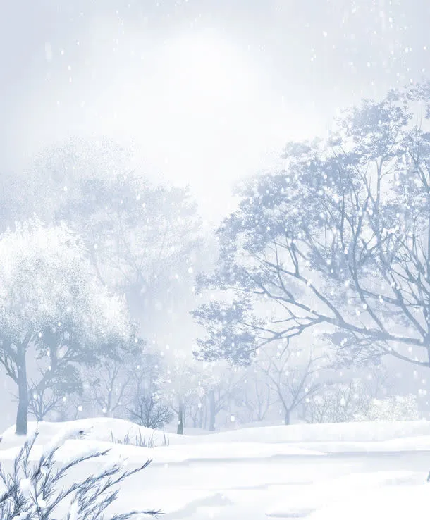 暴风雪免抠