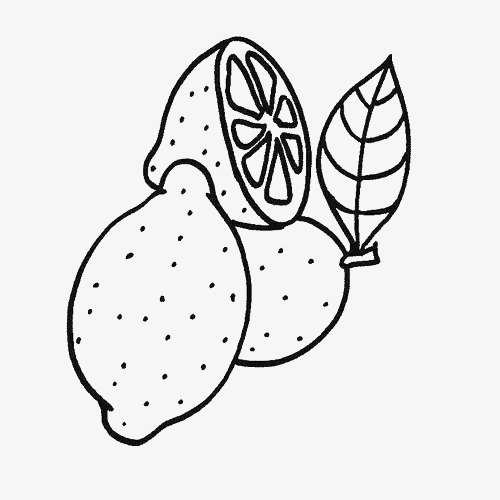 黑白食物柠檬简笔画免抠