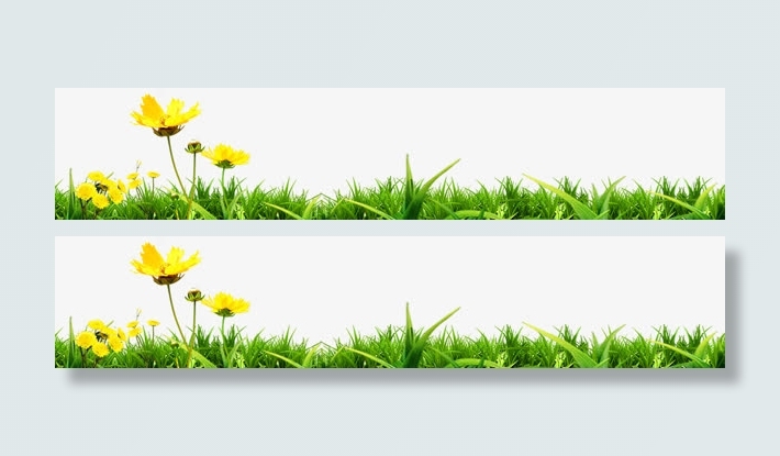 底部装饰草地黄色花朵免抠