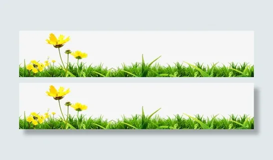 底部装饰草地黄色花朵免抠