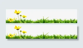 底部装饰草地黄色花朵免抠