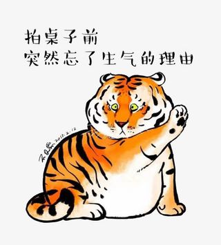 皮皮虾我们走猫免抠