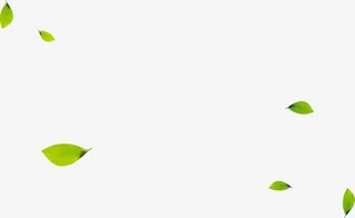 绿色春天漂浮设计卡通树叶免抠漂浮叶子元素