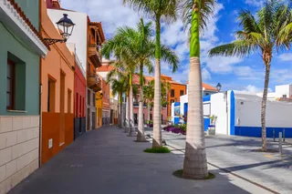 绿色椰树浪漫小路免抠