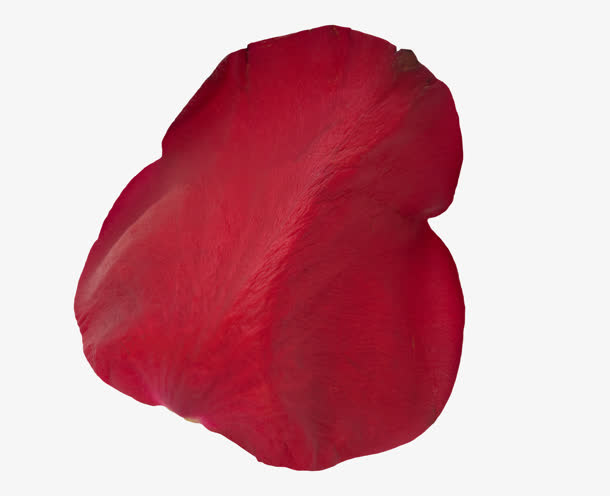 实体花瓣红色萎蔫免抠