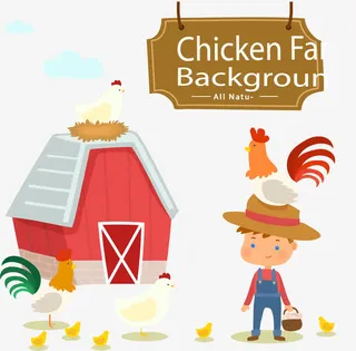 辛苦喂鸡的男孩免抠