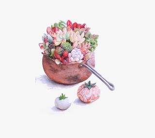 小清新插画广告设计卡通多肉盆栽免抠