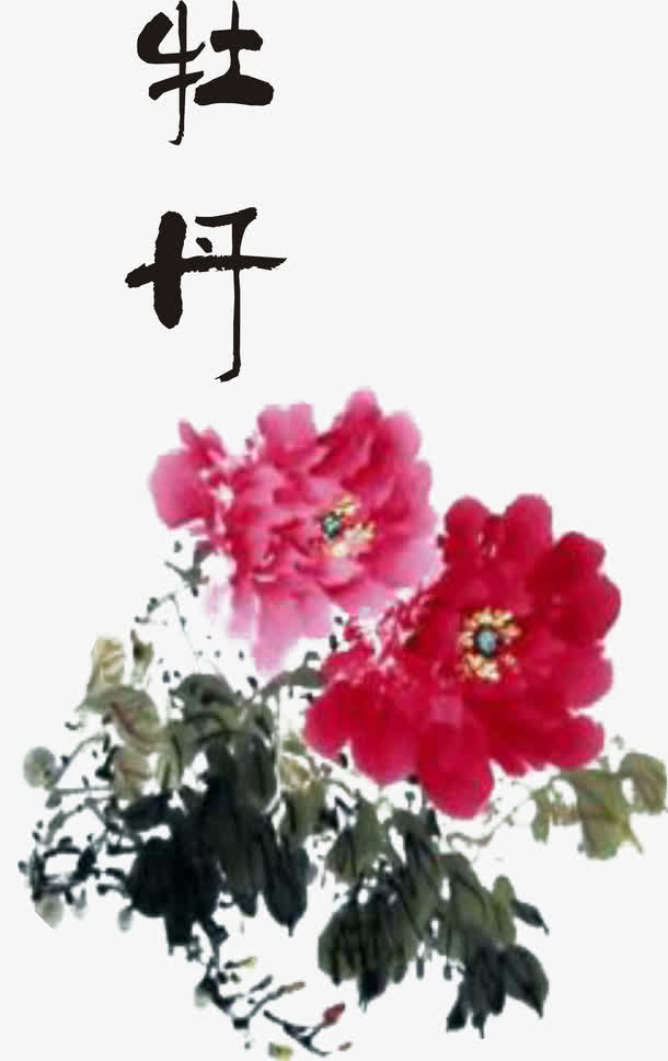 红色牡丹免抠