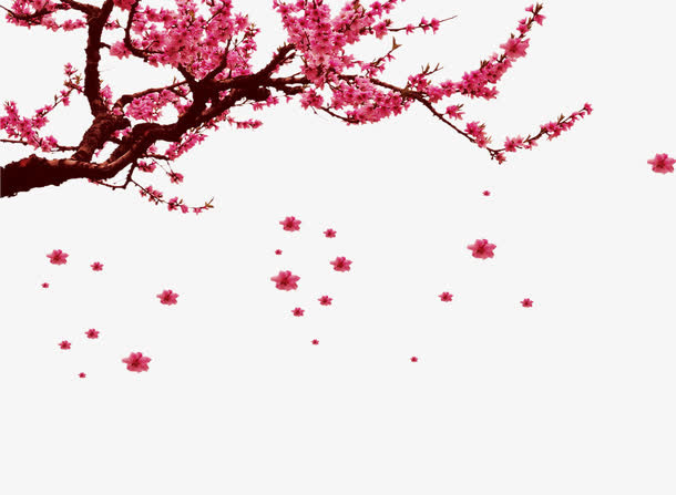 花枝海报装饰免抠