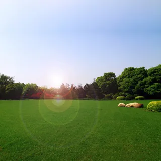 草地风景背景高清