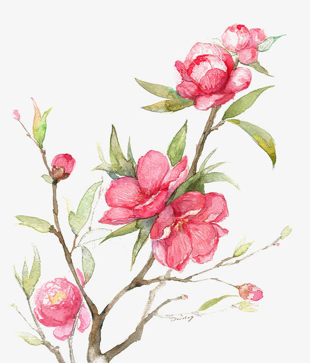 桃花免抠
