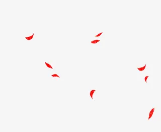 红色的羽毛免抠
