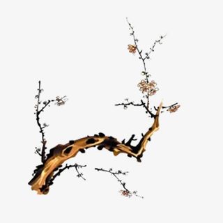 水墨梅花免抠