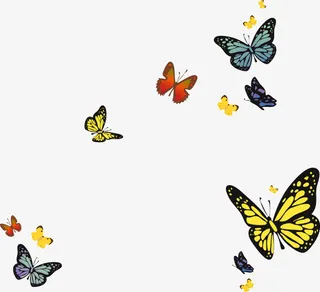 彩色蝴蝶春天免抠
