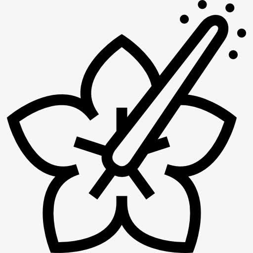 芙蓉图标免抠
