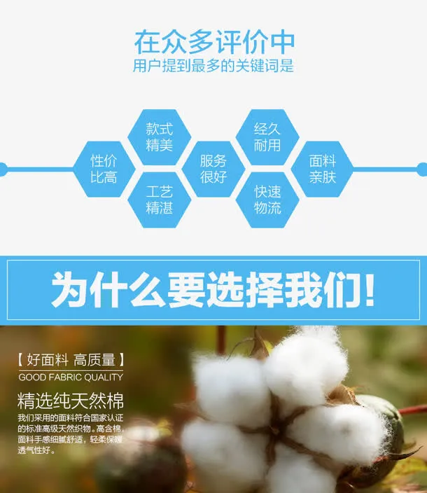 为什么要选择我们排版文案免抠
