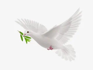 和平鸽庆国庆佳节免抠