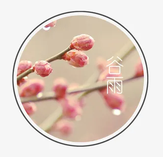 唯美创意谷雨节气海报背景设计 唯美创意谷雨节气海报背景设计