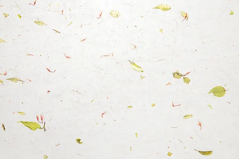 浅色叶子纹理背景高清