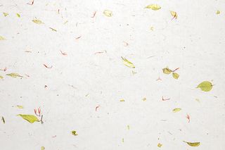 浅色叶子纹理背景高清