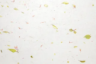 浅色叶子纹理背景高清